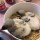 African Grey Birds for sale in Provo, UT, USA. price: $500