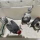 African Grey Birds for sale in Provo, UT, USA. price: $550