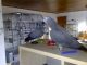 African Grey Birds for sale in Lake Trail Dr, Kenner, LA 70065, USA. price: NA
