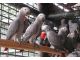 African Grey Birds for sale in New York Ave NW, Washington, DC, USA. price: NA
