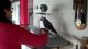 African Grey Hornbill Birds for sale in Irving, TX, USA. price: NA