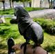 African Grey Parrot Birds for sale in South San Francisco, California. price: $2,000