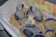 African Grey Parrot Birds for sale in Texas Ave, Los Angeles, CA 90025, USA. price: NA