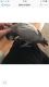 African Grey Parrot Birds for sale in Frisco, TX, USA. price: NA