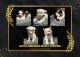 Akita Puppies for sale in Lancaster, California. price: $500