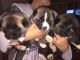 Akita Puppies for sale in Sammamish, WA, USA. price: NA