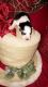 Alaskan Husky Puppies for sale in Rainbow City, AL, USA. price: NA