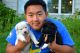 Alaskan Malamute Puppies for sale in St Paul, MN, USA. price: $1,000