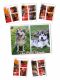 Alaskan Malamute Puppies for sale in Easton, MD 21601, USA. price: $2,500