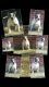 American Bulldog Puppies for sale in Warren, MI, USA. price: $2,000