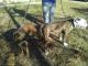 American Bulldog Puppies for sale in Lynchburg, VA, USA. price: NA
