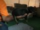 American Bully Puppies for sale in Apache Junction, AZ, USA. price: $1,500