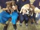 American Bully Puppies for sale in Antioch, CA, USA. price: NA