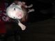 American Bully Puppies for sale in Harlem, GA 30814, USA. price: NA