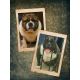 American Bully Puppies for sale in Downey, CA 90242, USA. price: NA