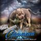 American Bully Puppies for sale in Republic, MO, USA. price: NA