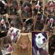 American Bully Puppies for sale in Ewing Township, NJ, USA. price: NA