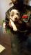 American Pit Bull Terrier Puppies for sale in Elyria, OH 44035, USA. price: $250