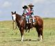 American Quarter Horse Horses for sale in Washington, DC, USA. price: $6,500