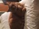 American Shorthair Cats for sale in Wolcott, CT, USA. price: $50