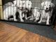 Argentine Dogo Puppies for sale in Plainfield, NJ, USA. price: NA
