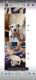 Argentine Dogo Puppies for sale in Sacramento, CA, USA. price: $400