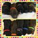 Aussie Doodles Puppies for sale in Ashland, MS 38603, USA. price: NA