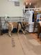 Australian Cattle Dog Puppies for sale in Fairfax, VA 22032, USA. price: NA