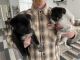 Australian Shepherd Puppies for sale in Henderson, NV, USA. price: $500
