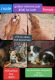 Australian Shepherd Puppies for sale in Guthrie, OK, USA. price: $160