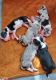 Australian Shepherd Puppies for sale in 105 Regency Pl, West Monroe, LA 71291, USA. price: NA