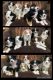 Australian Shepherd Puppies for sale in Brenham, TX 77833, USA. price: $2,000
