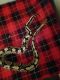 Ball Python Reptiles for sale in Hudson, WI 54016, USA. price: NA