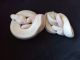 Ball Python Reptiles for sale in Fremont, IN 46737, USA. price: NA
