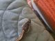 Ball Python Reptiles for sale in West Hartford, CT, USA. price: NA