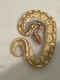 Ball Python Reptiles for sale in Shreveport, LA 71109, USA. price: $350