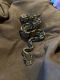 Ball Python Reptiles for sale in Endicott, NY 13760, USA. price: $750