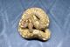 Ball Python Reptiles for sale in Lindenhurst, NY 11757, USA. price: NA