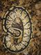Ball Python Reptiles for sale in Waco, TX, USA. price: NA