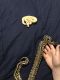 Ball Python Reptiles for sale in Adrian, MI 49221, USA. price: NA