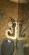 Ball Python Reptiles for sale in Hawk Point, MO 63349, USA. price: NA