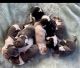 Basset Hound Puppies for sale in Liberty, KY 42539, USA. price: $800