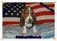 Basset Hound Puppies for sale in Wilkesboro, NC, USA. price: $550