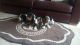 Basset Hound Puppies for sale in Springfield, MA, USA. price: NA