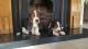 Basset Hound Puppies for sale in Philadelphia, PA, USA. price: NA