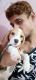 Beagle Puppies for sale in Picnic Garden, Tiljala, Kolkata, West Bengal 700039, India. price: 21000 INR