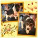 Beagle Puppies for sale in Lewisburg, TN 37091, USA. price: $450