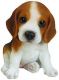 Beagle Puppies for sale in Ontario, CA, USA. price: $750