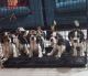 Beagle Puppies for sale in Gorai, Mumbai, Maharashtra, India. price: 25000 INR