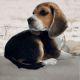 Beagle Puppies for sale in Pennsylvania Station, 4 Pennsylvania Plaza, New York, NY 10001, USA. price: $2,900